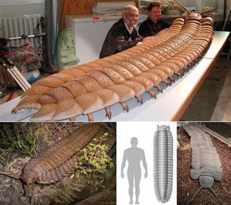 Arthropleura: Ein prähistorisches Tausendfüßler-Wunder mit Panzerung wie ein Ritter!